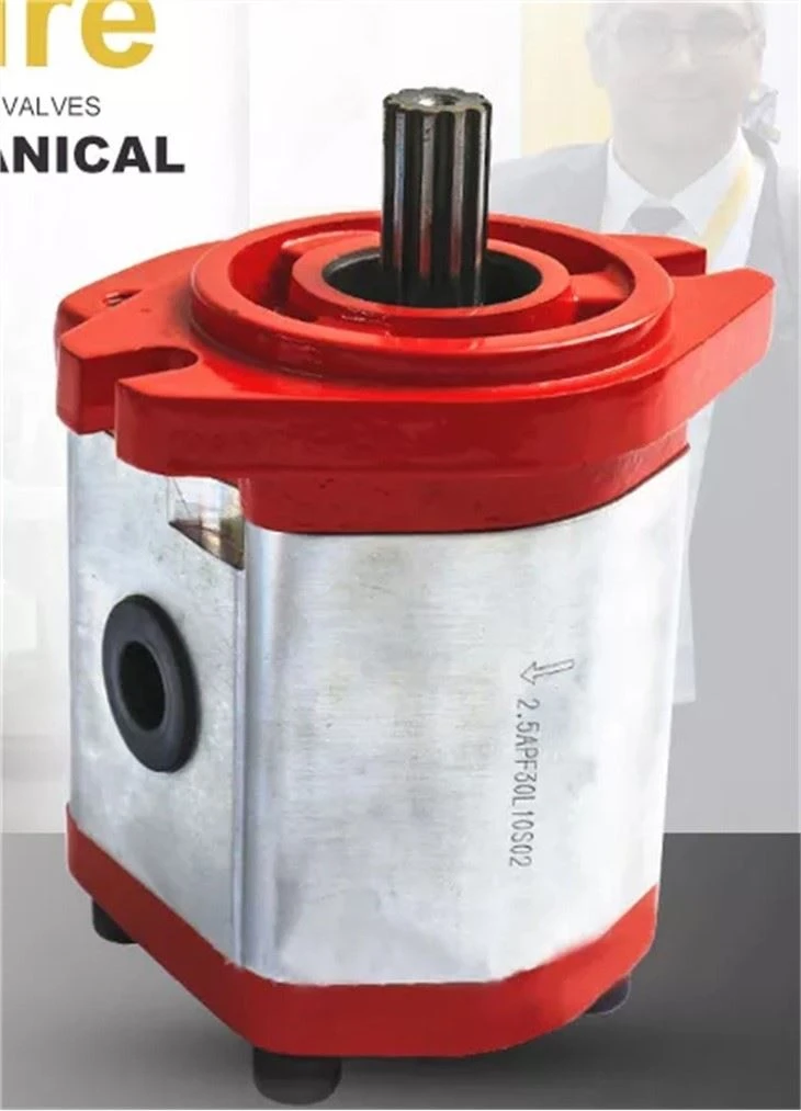 Factory Direct Sales Backhoe Forklift Excavator GRH Mini Oil 2PF Gear Pump