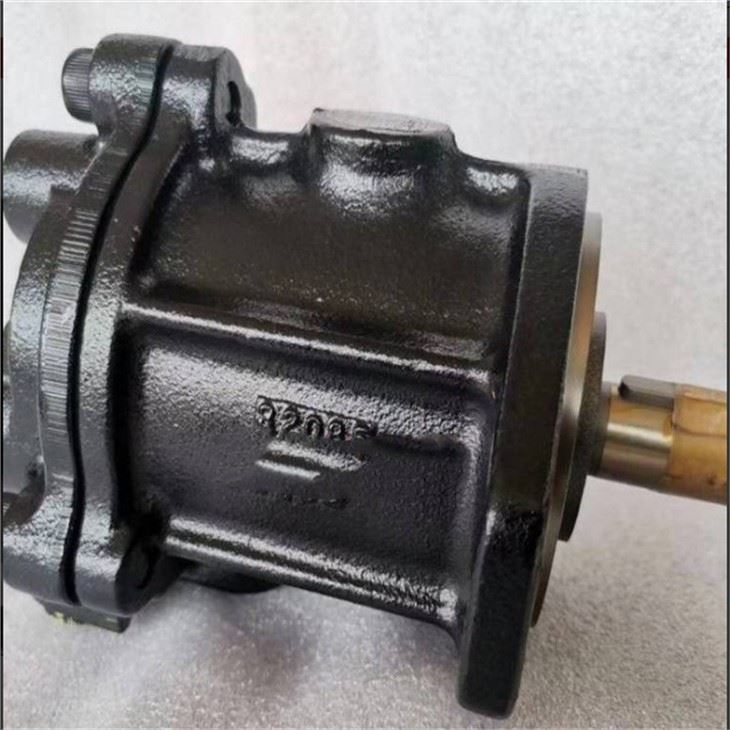 Liugong SY SY650 SY700 SY750 SY375 SY485 SY550 Fan Motor Fan Pump P1045 CLG CLG945E CLG948E CLG950E